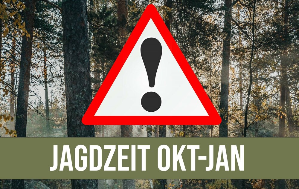 Dreieckiges Warnschild mit Ausrufezeichen und darunter der Schriftzug 'Jagdzeit Oktober bis Januar'. Im Hintergrund ein dunkler Wald.