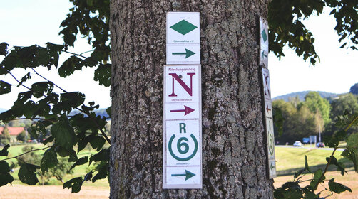 Baum mit Nibelungensteig-Markierung und weitere Markierungen.