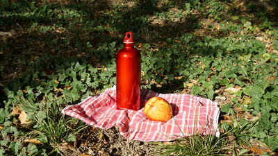 Eine rote Trinkflasche und ein Apfel liegen auf einem karierten Handtuch. Im Hintergrund sind Wiese und Efeu zu sehen.
