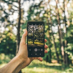 Eine Hand hält ein Handy um ein Foto zu machen. Auf dem Display sieht man Wald.